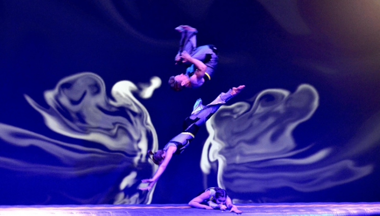 Cosmic - Floor Acrobatic Acts — photo 9