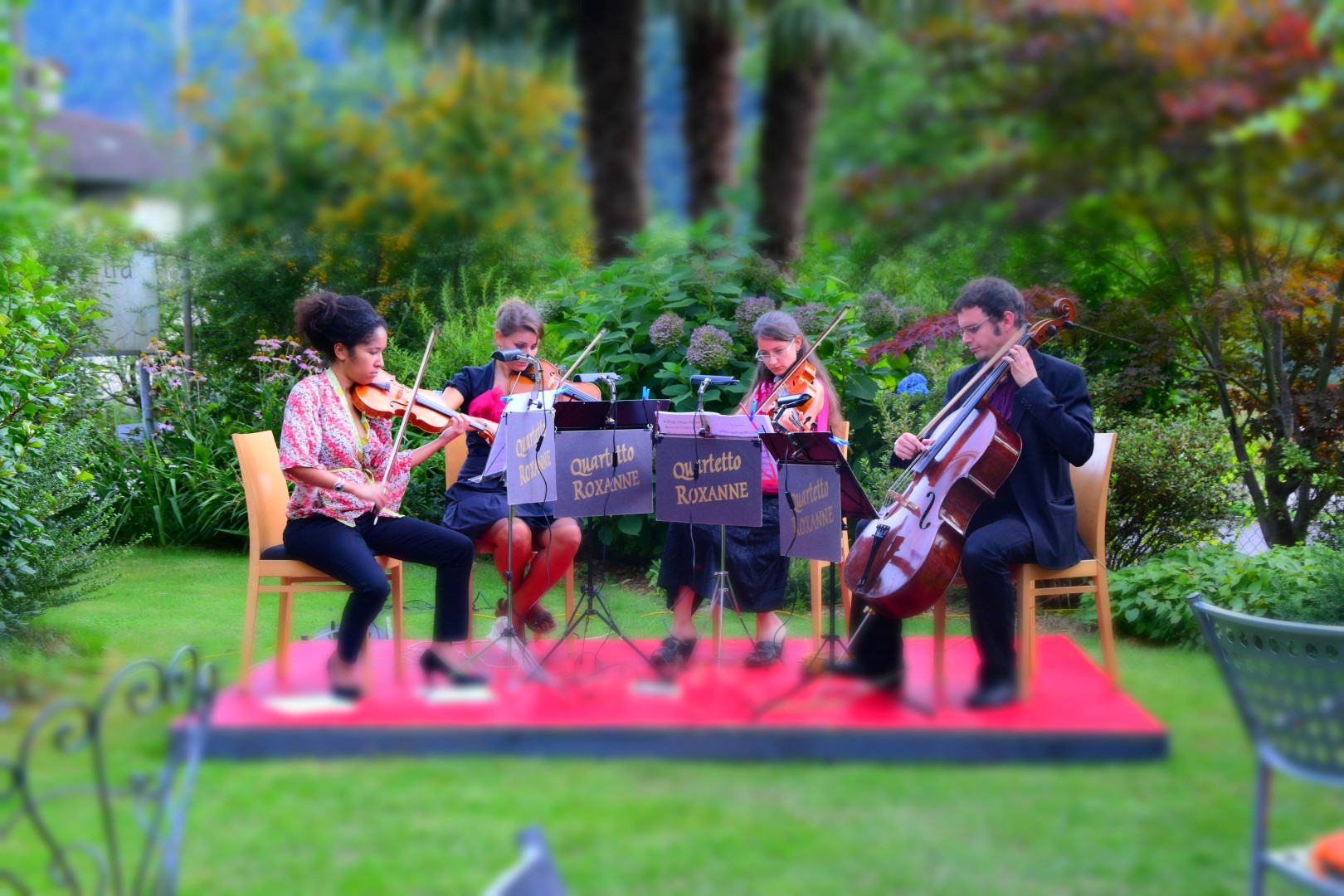 Quartetto Roxanne — photo 4