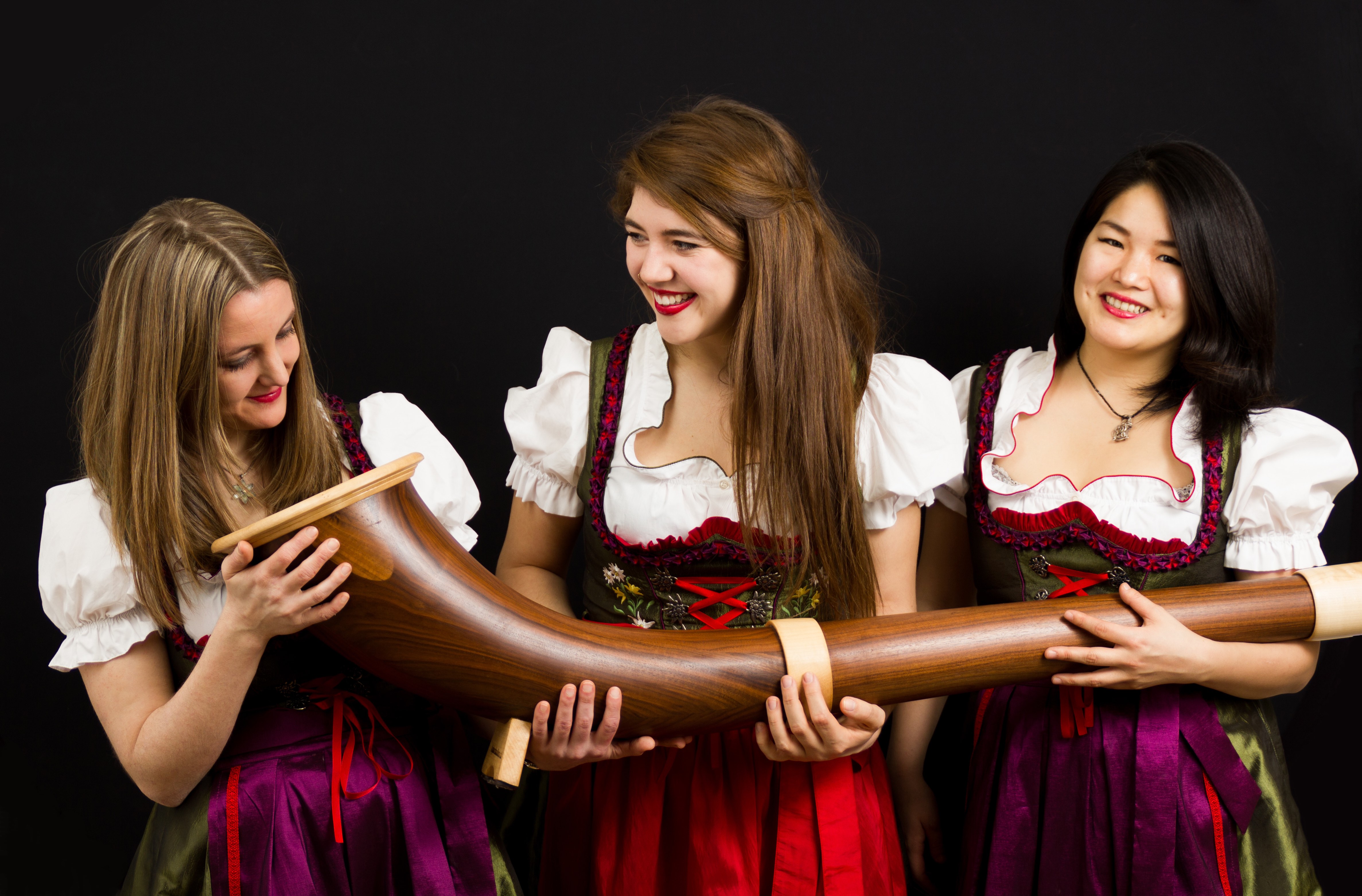 Alphorn, Jodeling, Swiss Akkordeon / Solo, Duo or Trio — photo 10