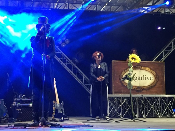 ZUCCHERO FORNACIARI TRIBUTE BAND — photo 2