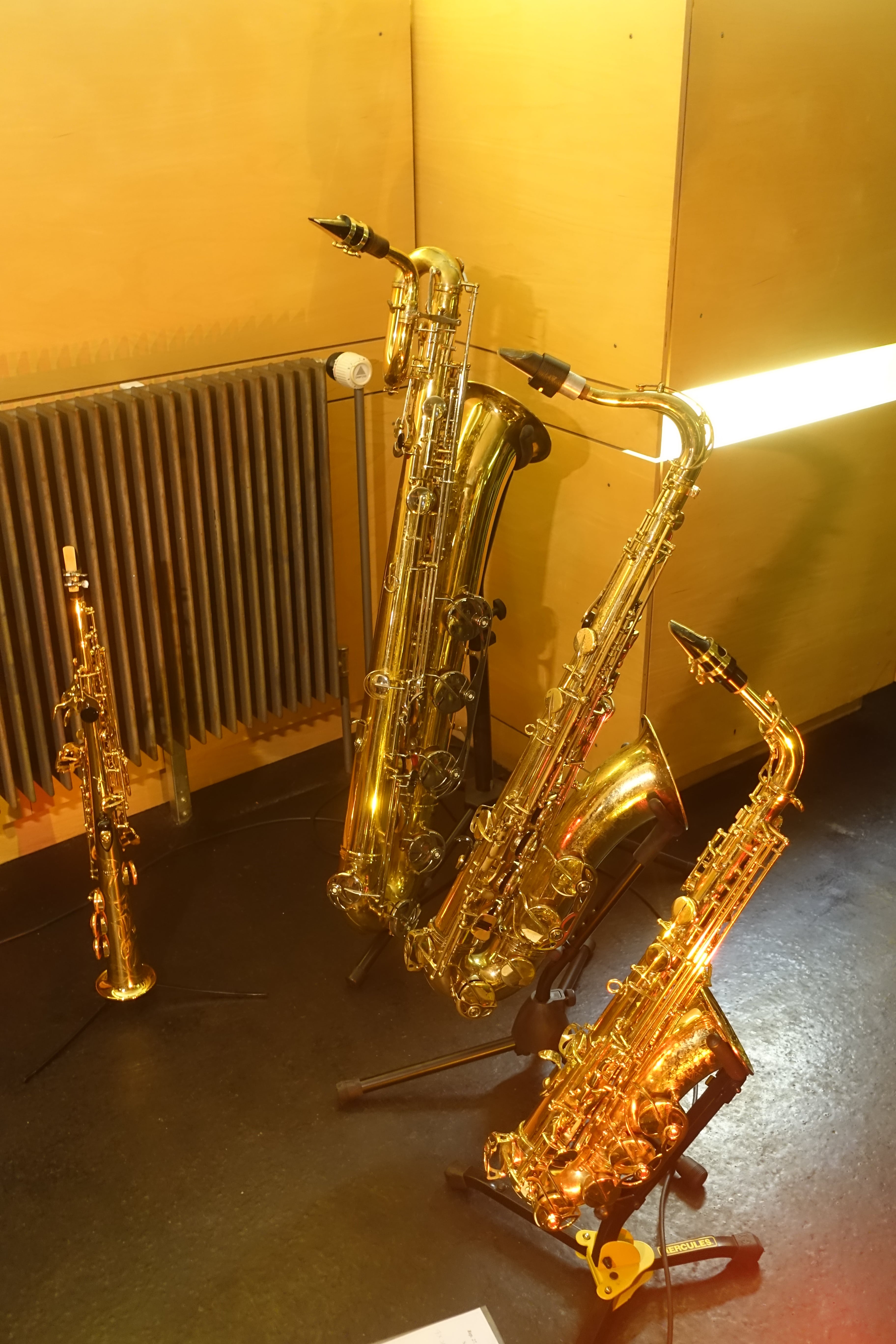 Adi Who?   Sax, Vox &amp;amp; Loops — photo 6