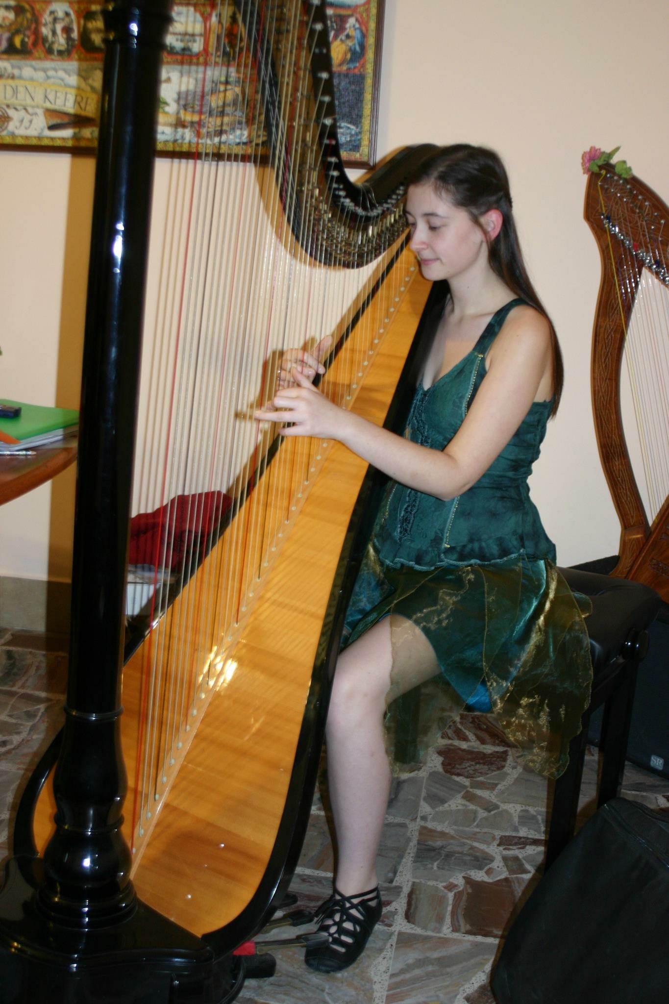 Helena Dolce Arpa — photo 11
