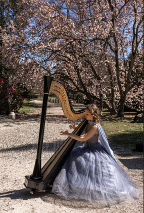 Eleonora - Arpista per matrimoni ed eventi privati — photo 11