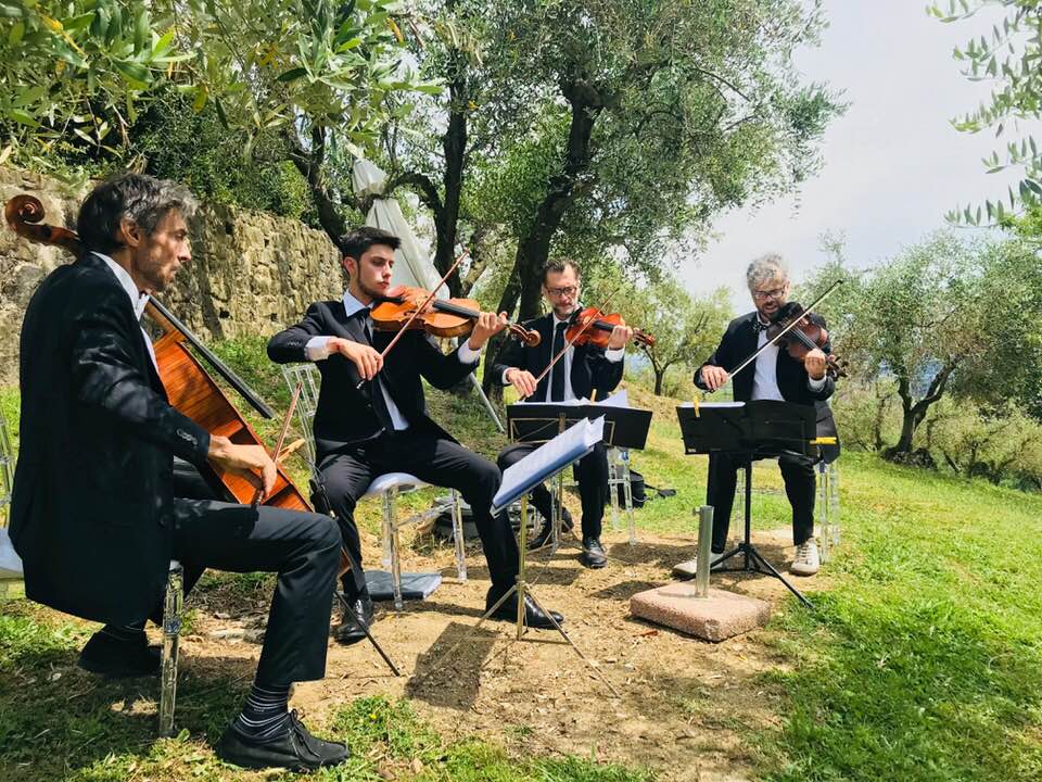 BKatch Strings  — photo 4