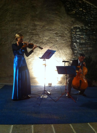 Barbara Krüger violinista/DuoJig/Trio/Quartetto — photo 6