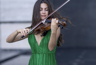 Violine Geige Ilona