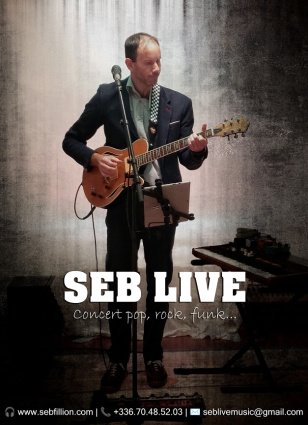 SEB LIVE - pianiste chanteur — photo 3