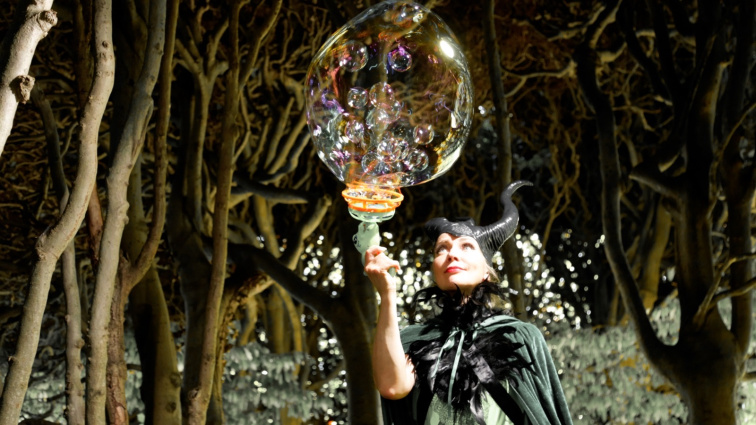 Magic Bubble Show — photo 12